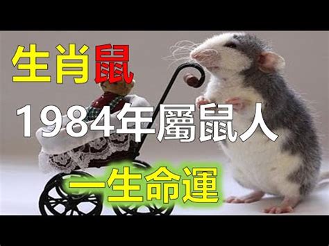 1960 鼠 五行|【1960年五行屬什麼】1960年出生的屬鼠人一生運勢大解析！